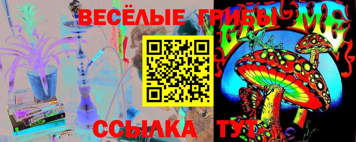 Кубинка  Галлюциногенные грибы Cubensis  Вход с VPN 